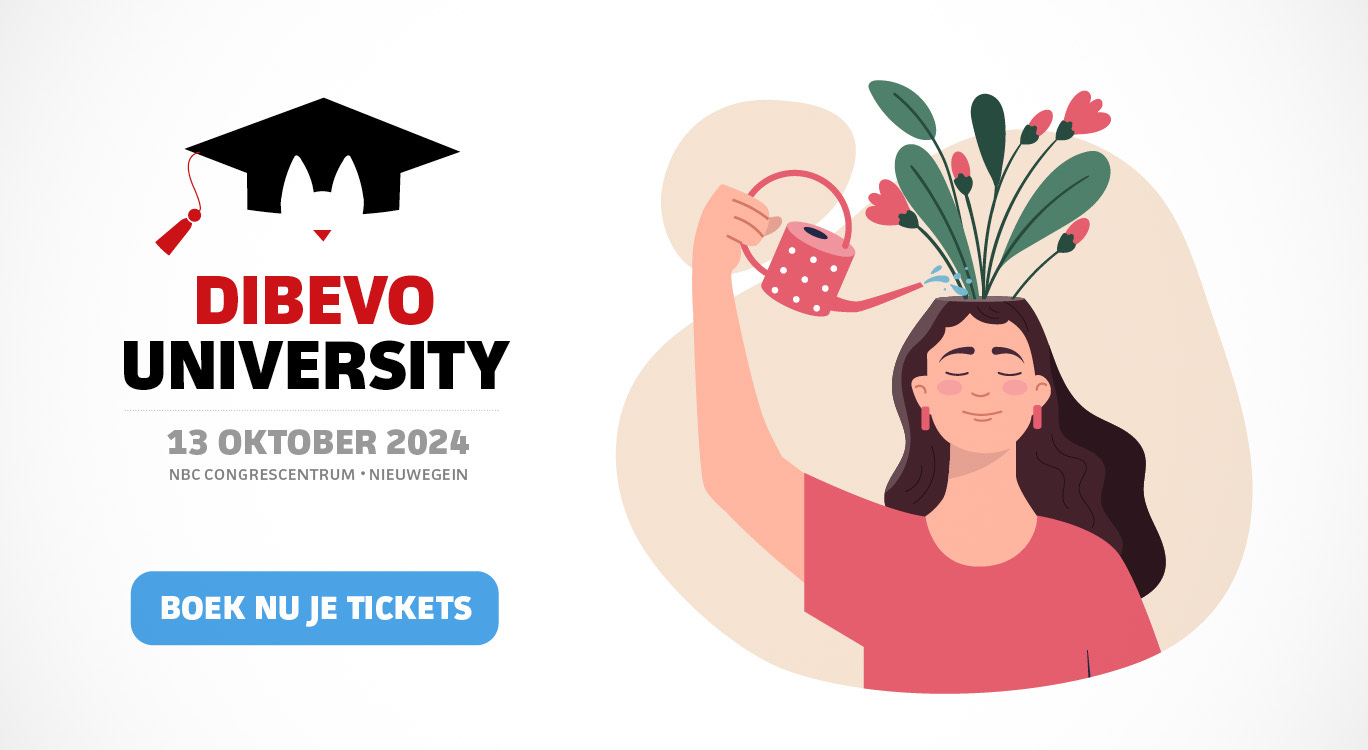 Dibevo University 2024