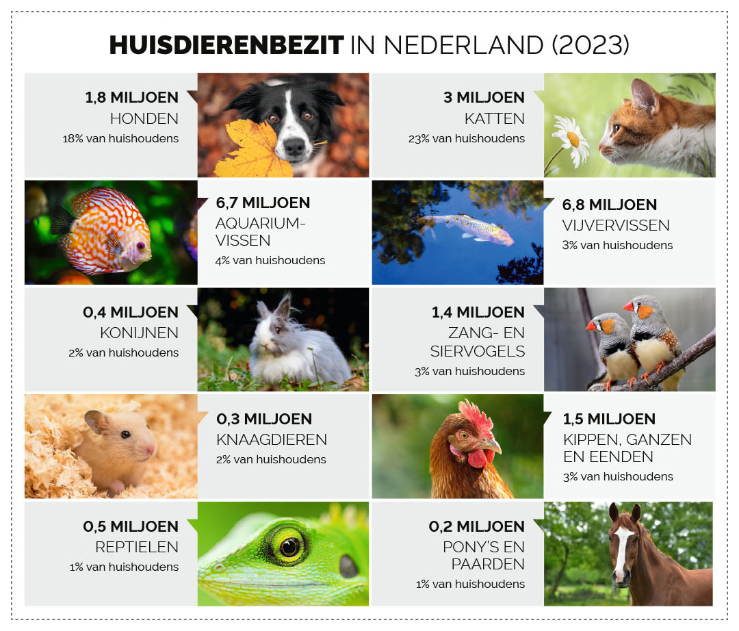 Huisdieren in Nederland (2023)