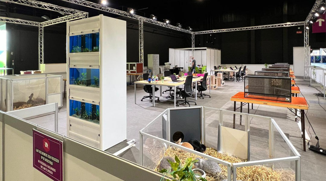 WorldSkills Netherlands zoekt partners voor vakwedstrijd Dierverzorger