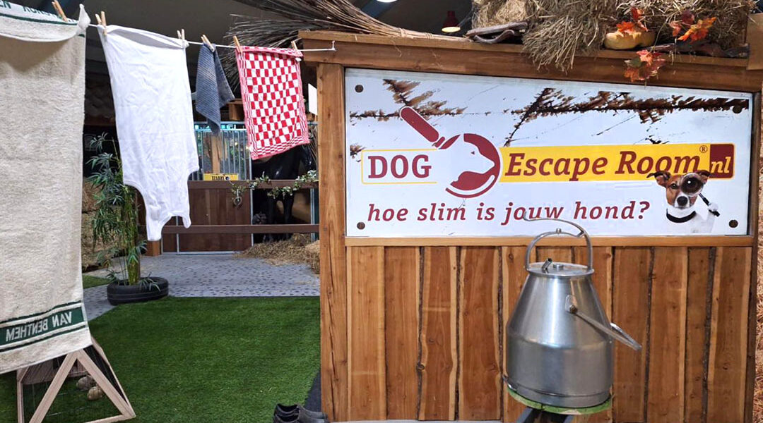 Dier all-in opent escaperoom voor honden