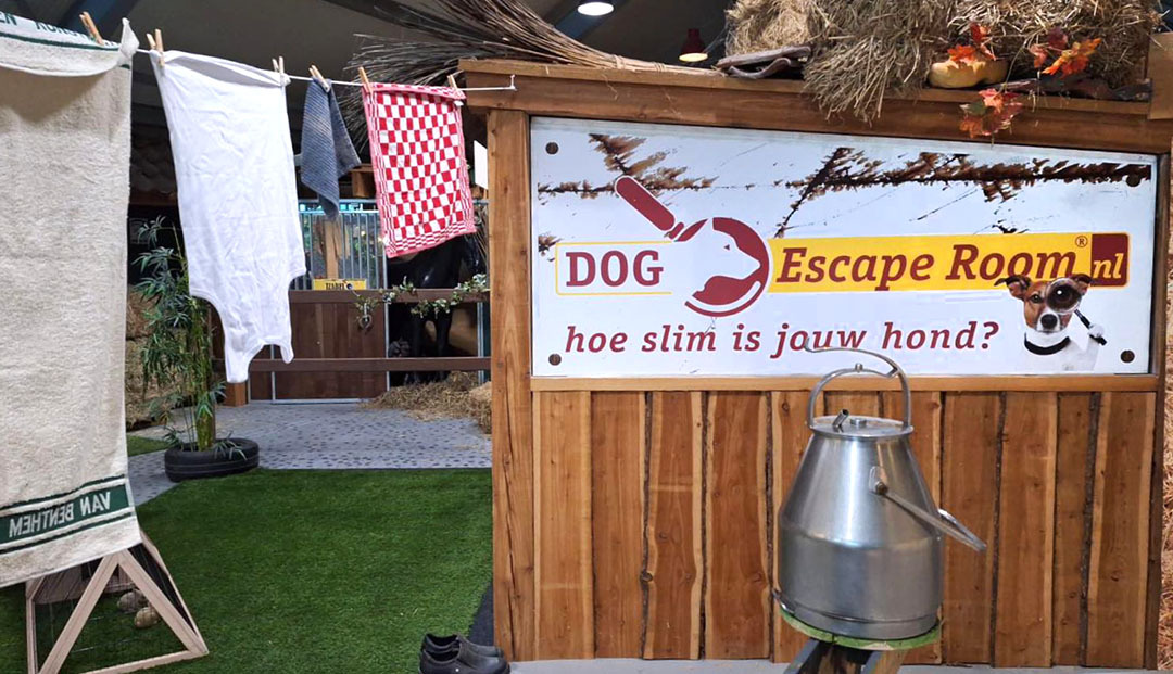 Escaperoom voor honden