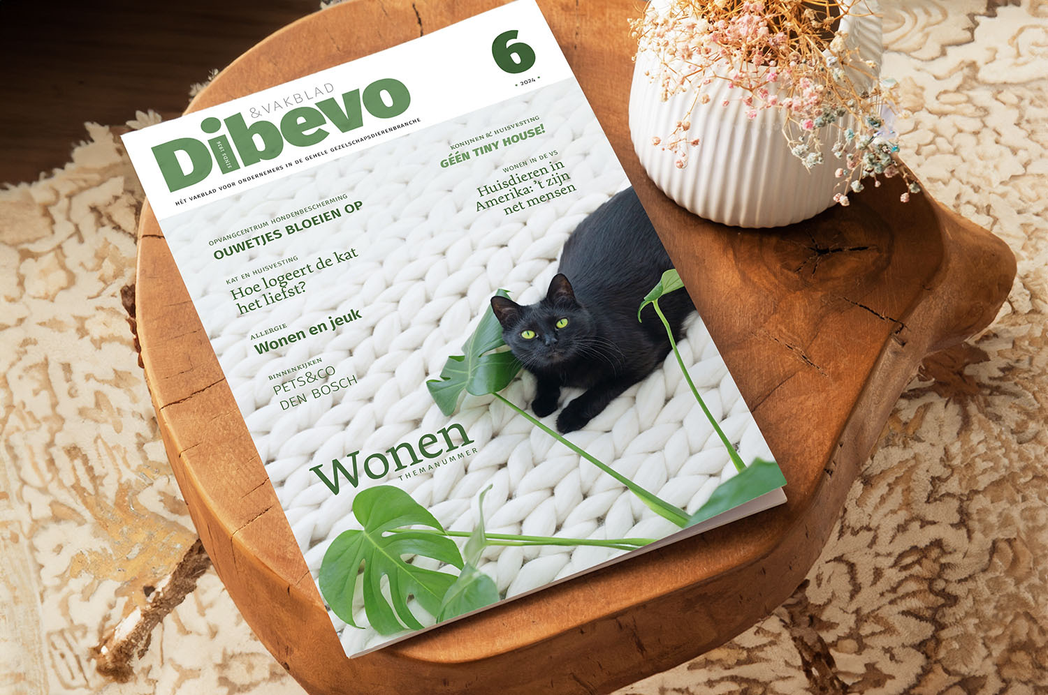 Dibevo-Vakblad 6