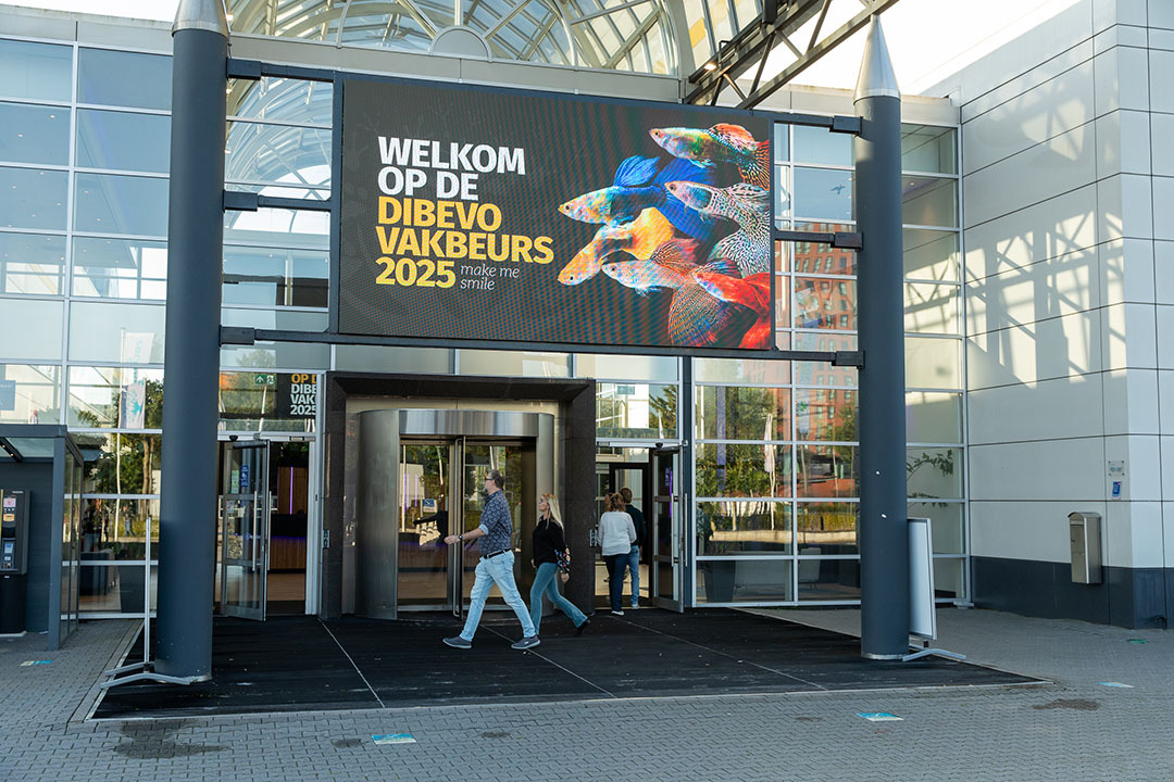 Dibevo-Vakbeurs 2025
