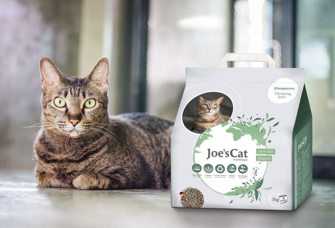 Joe’s Cat
