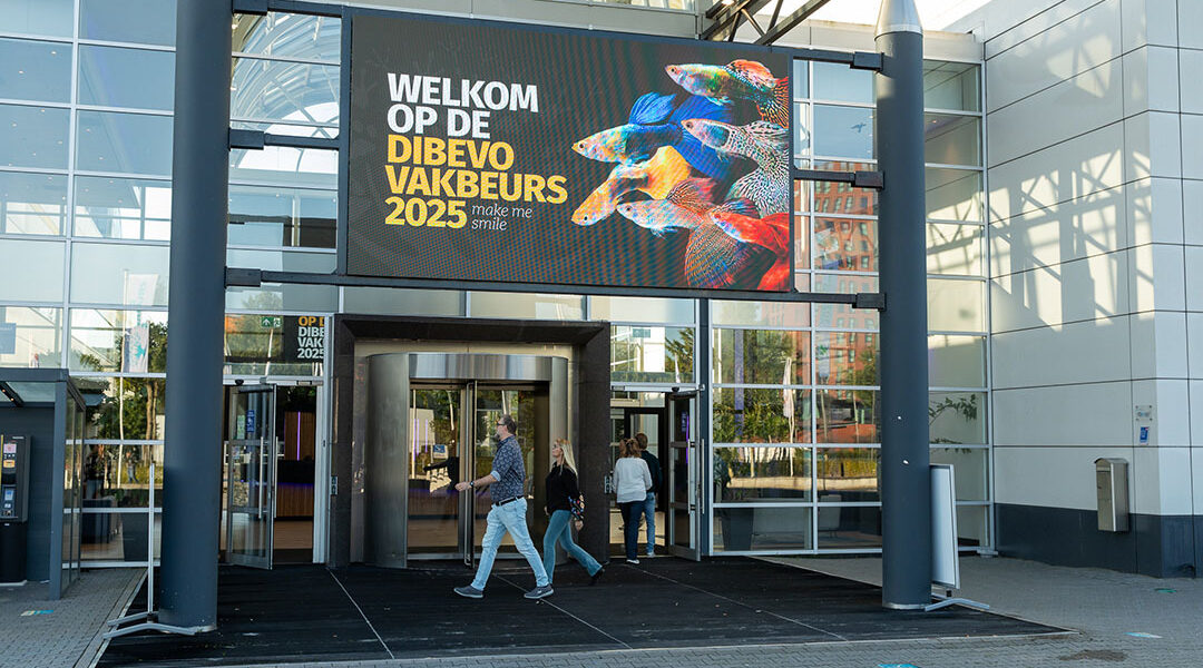Dibevo-Vakbeurs 2025: inspirerend, verbindend en positief