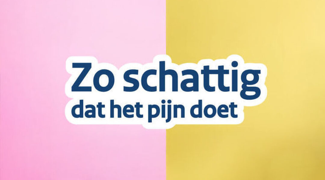 Nieuwe overheidscampagne: koop geen hond of kat op basis van uiterlijk
