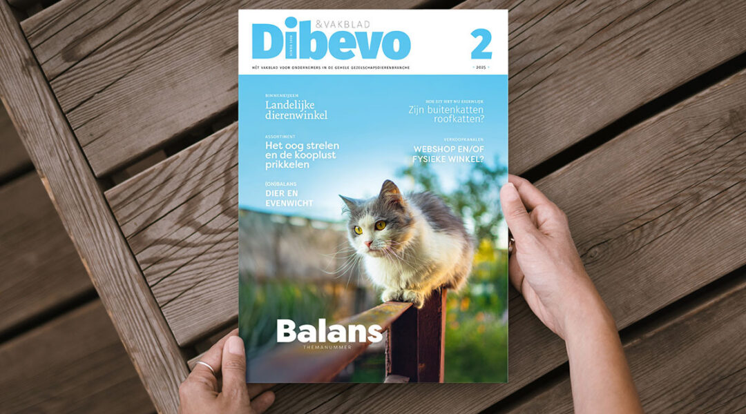 Dibevo-Vakblad 2: in of uit balans?