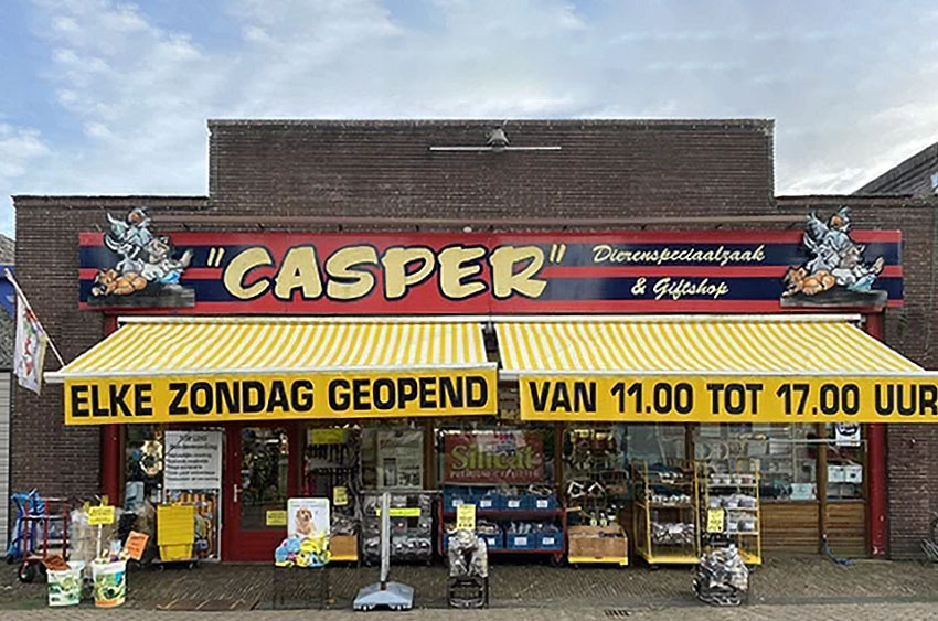 DSZ Casper