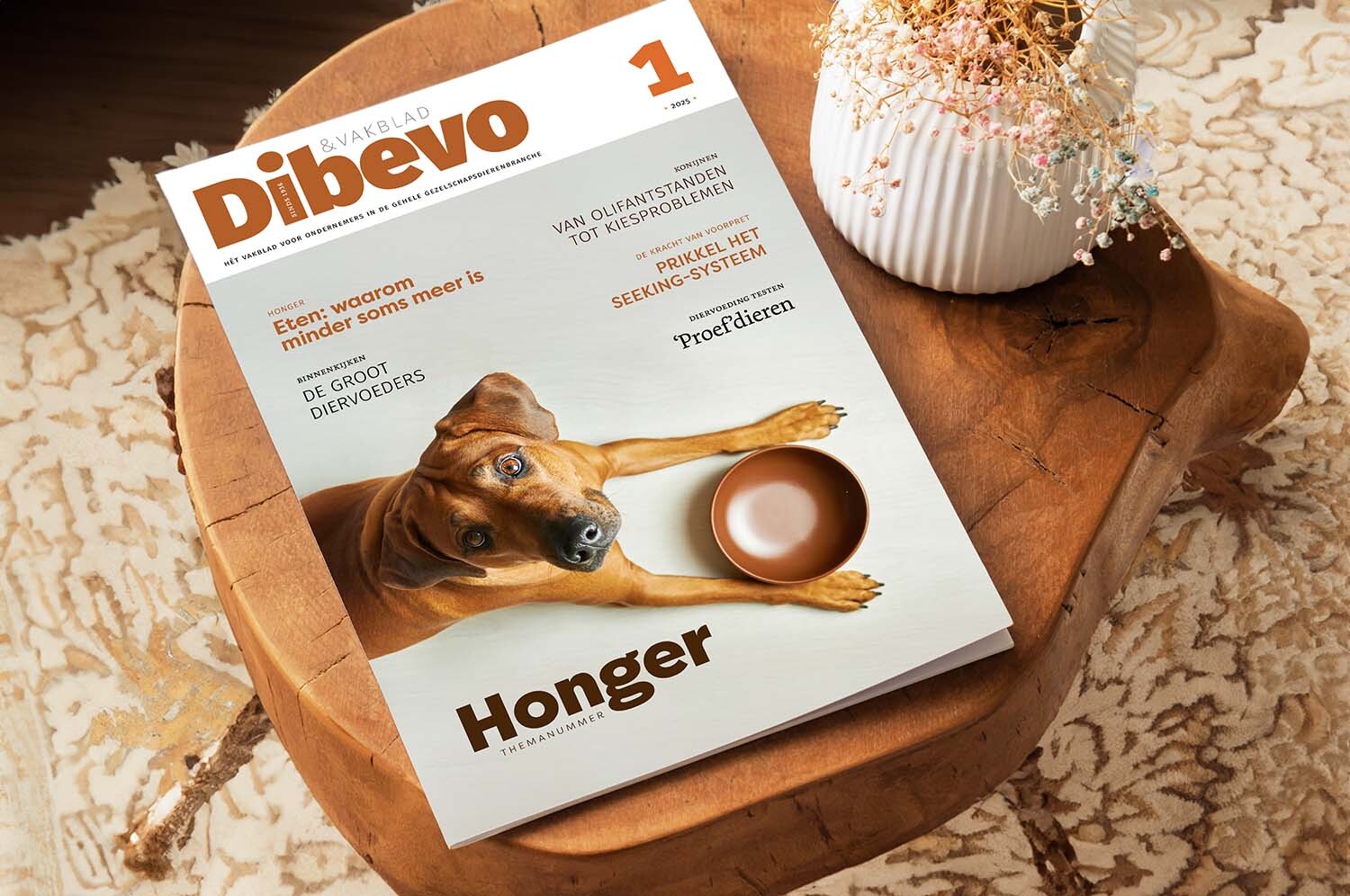 Dibevo-Vakblad 1 /2025