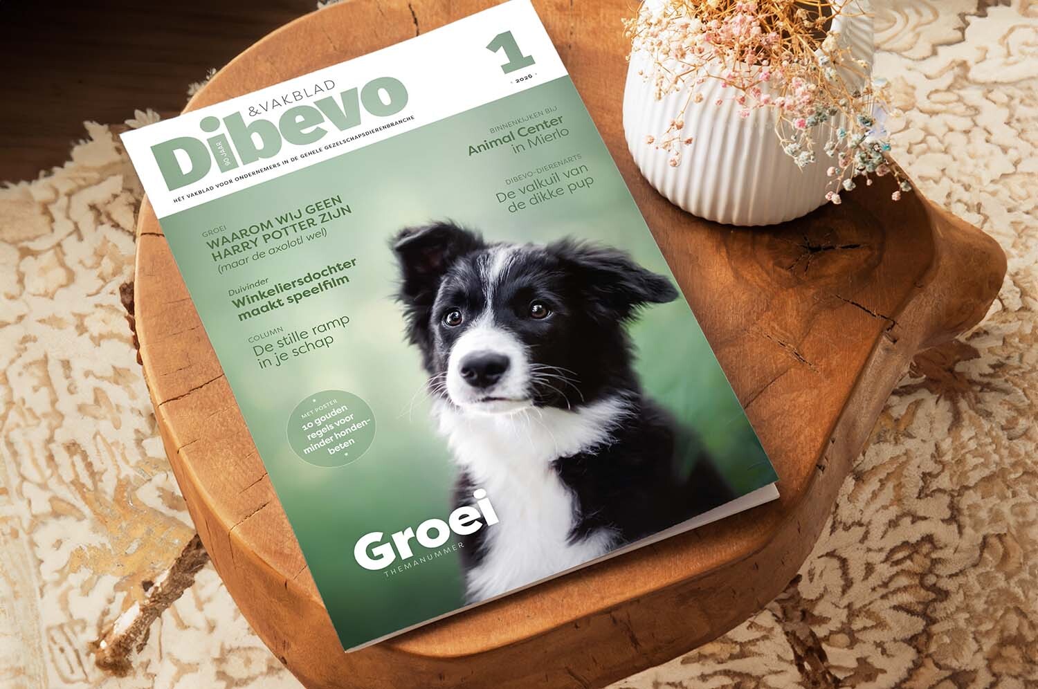Dibevo-Vakblad 1 / 2026