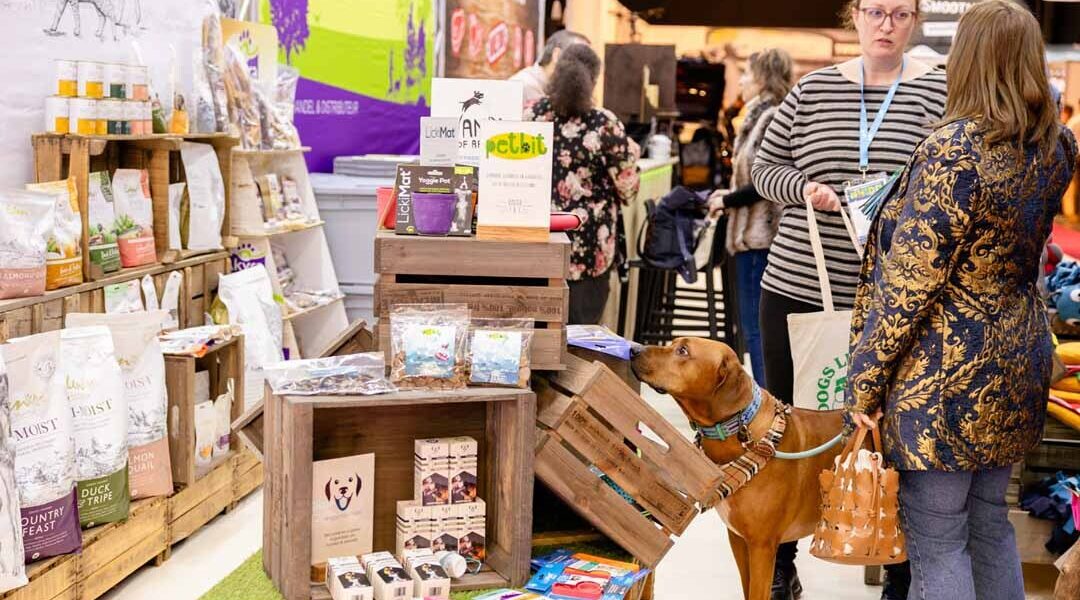 ANIDO 2026 – 25 & 26 januari in Kortrijk Xpo