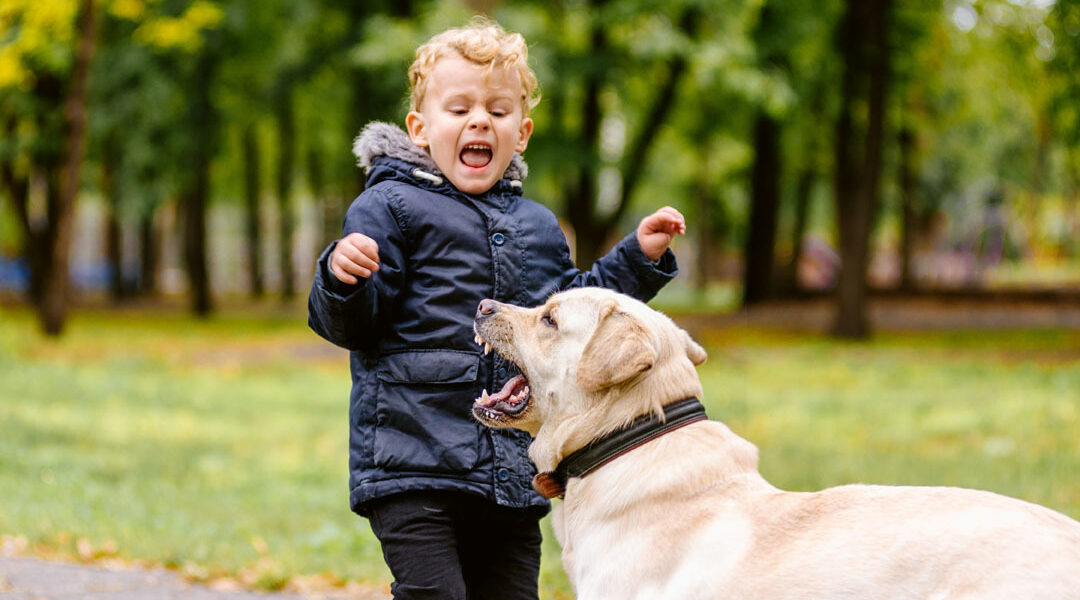 Landelijk meldpunt hondenbeten van start