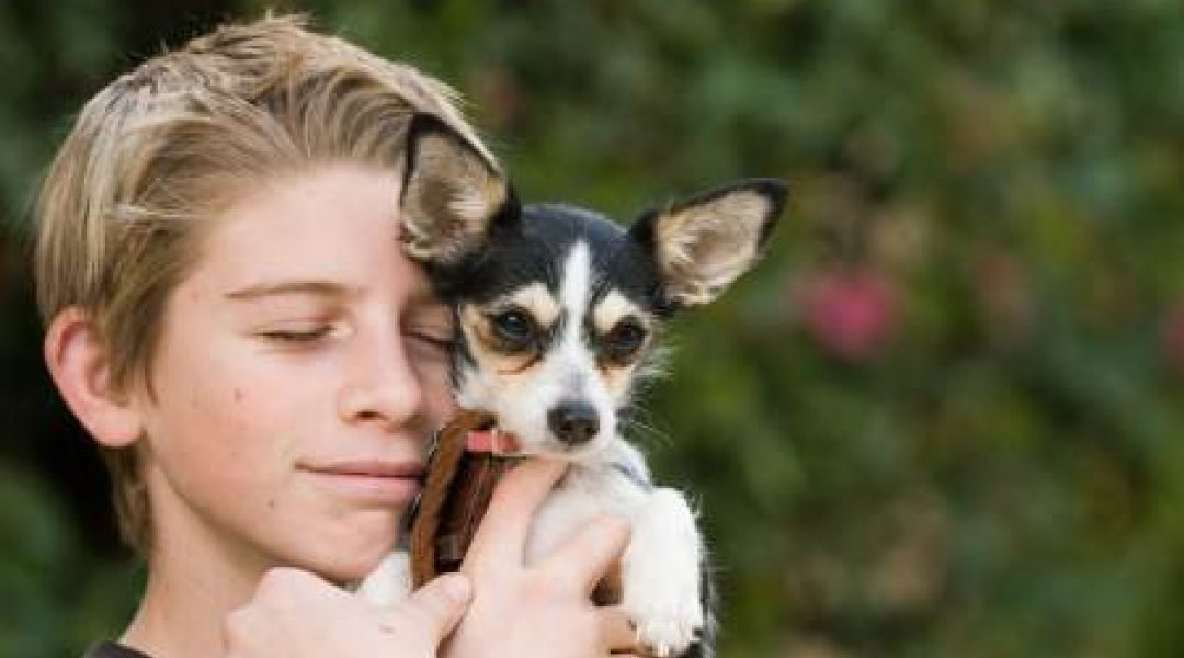 18 mei: Dag van de Hond met thema Kind & Hond