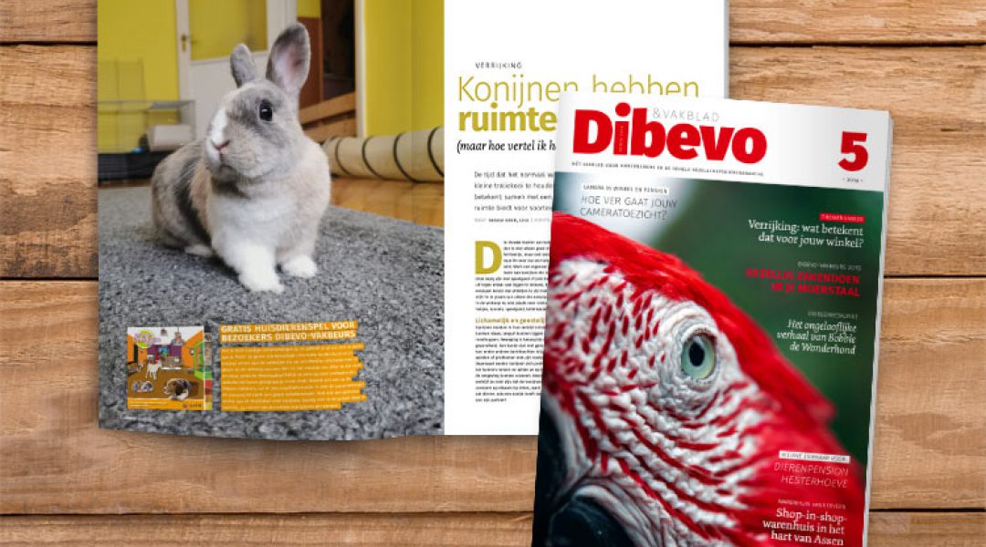 Dibevo-Vakblad nr 5: hoe je als bedrijf ‘rijker’ wordt van verrijking